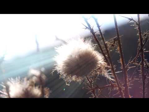 Spiffy Man - Farewell feat. Progley (Sauniks Remix)