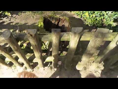 Siraya Lisi Infinity Layla Jaris Jasper 25 02 2024 f