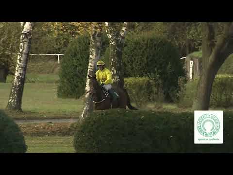 Dostihy Kolesa 5. 11. 2023 - 8. dostih - Cena firmy Energoland s.r.o.