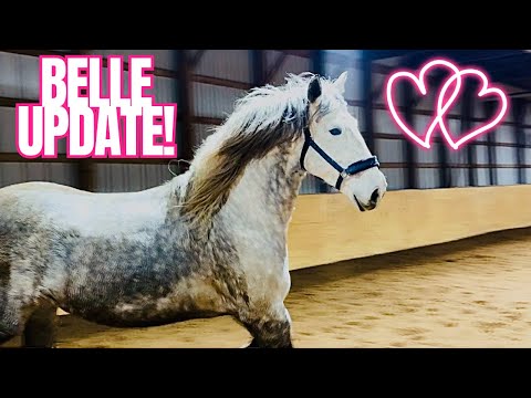 WOW! Belle Really Surprised Us Today!