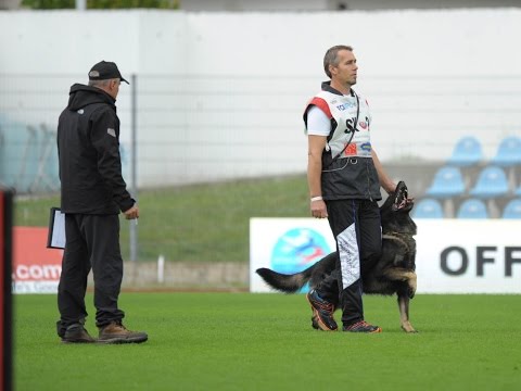 W.Ch.FCI IPO 2016 - Urri z Kurimskeho haje - B:96 / best obedience