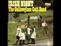 The Gallowglass Ceili Band - Irish Night