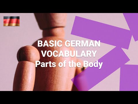 Basic German Vocabulary What Are the Numbers One to Ten in German