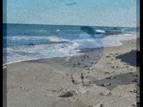 Sonny Stitt & Red Holloway - Live 4/17/1982