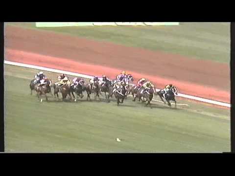 1991 - Mackinnon Stakes.WMV