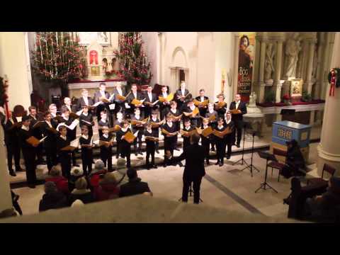 Czarowna Noc - H. Seroka