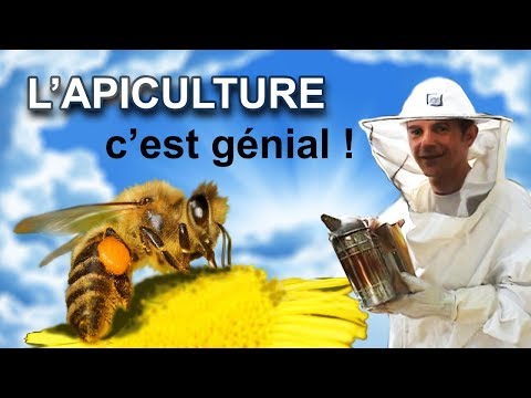 video en francais – video educative sur l’apiculture | Apiculture: le ...