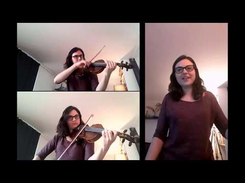 Dans un Ciel de Premier Mai - Les Fatals Picards Violin Cover by Fauvette