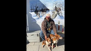 King Of CottonTail 2021 Rabbit Dog Field Trail VA