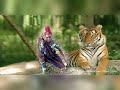 Limbu Luchagula Ft Ndama Jigushilaga Nelemi Amechoka Kuiba 2023