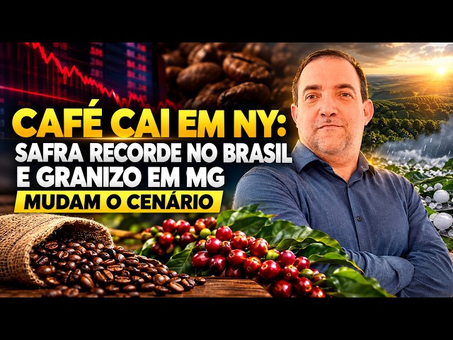 Café NY: Safra Recorde no Brasil e Granizo em MG Mudam o Cenário.