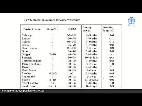 FAO training for Pacific SIDS - Storage to reduce postharvest losses