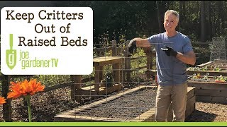 How to Keep Critters Out of Your Raised Bed Garden