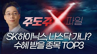 하이닉스, ADR로 나스닥 가나? 수혜 받을 종목 TOP3 |  홀짝박사 '주도주 X파일' 251210