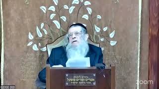 מאמר באתי לגני תש"י חלק ו׳, הרב מענדל וועכטר שנת תשפ"ה