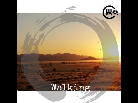 [Music, RealVideo #7: Walking (original) by Werner Schmidt, a #NewSingle]