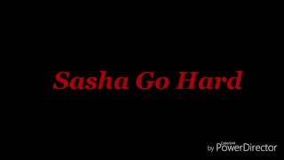 Niggas Ain&#39;t Shit Lyrics -Sasha Go Hard