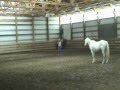Liberty Work ~ Round Pen Positioning