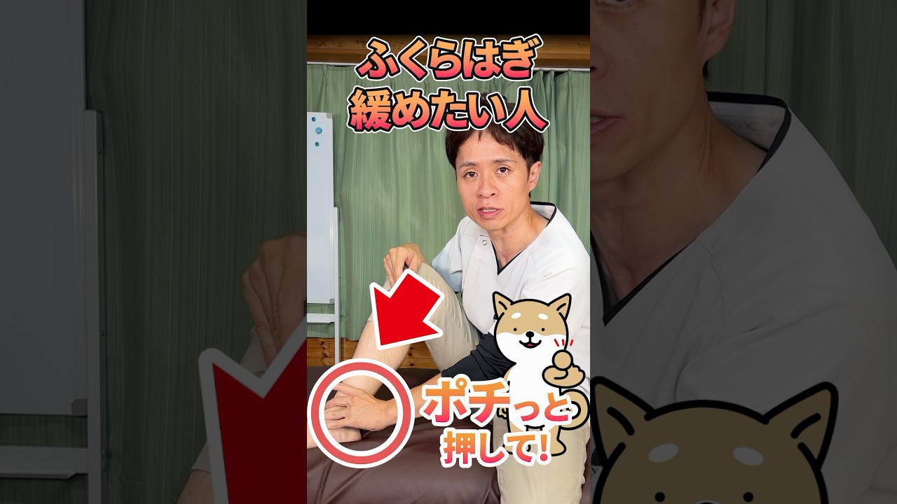 【ガチガチふくらはぎがスッキリ！】パンパンなふくらはぎがポチっと押すだけでユルユル！【ちょい押しでふくらはぎの辛さ解消】