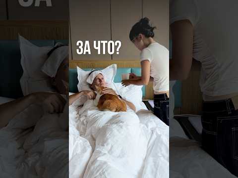 ЧТО В ЧАШКЕ?