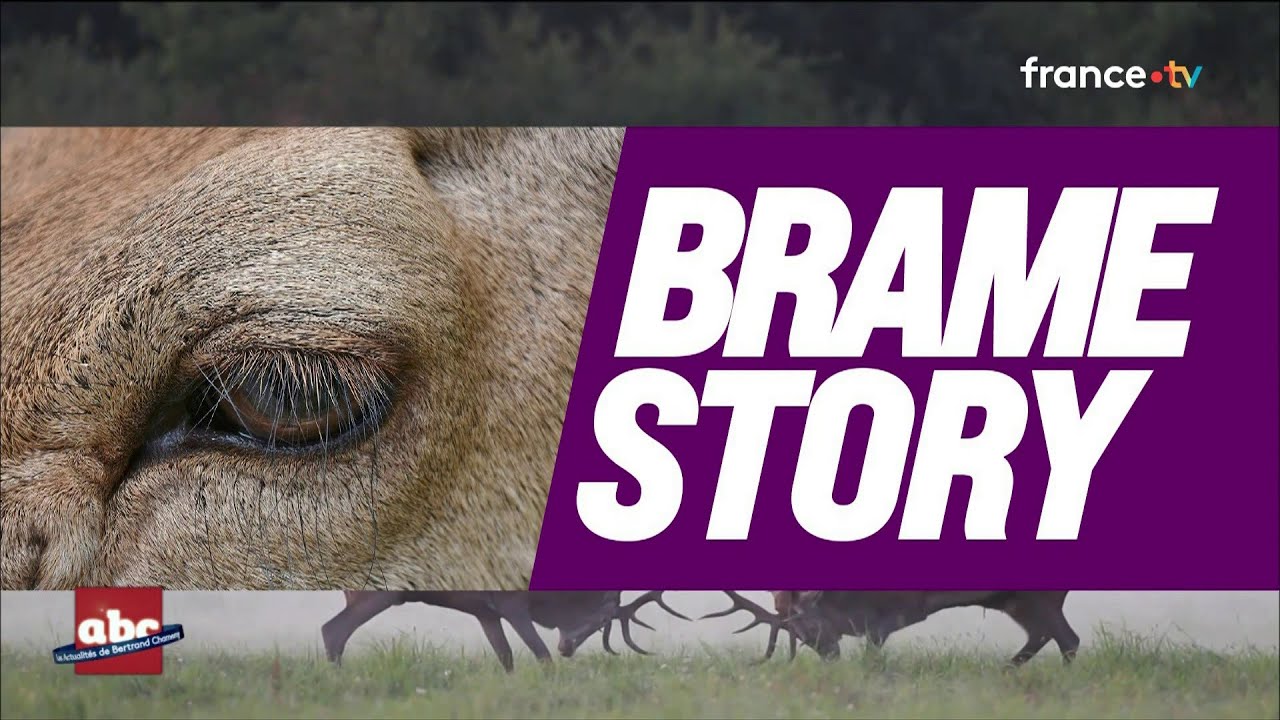 Brame TV : la nouvelle téléréalité très nature ! - L’ABC de Bertrand Chameroy - 09/09/2025