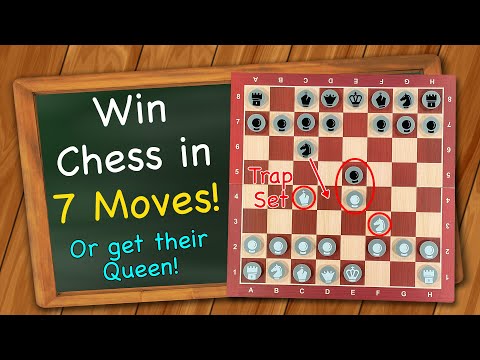 How to win Chess in 7 moves! (or at least capture their Queen)