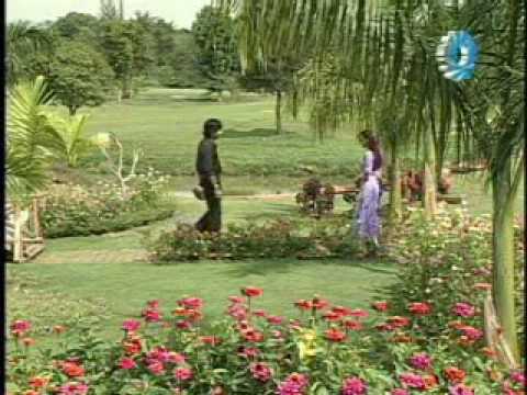 Soe Thu - Thu Thi Par Kwal (စိုးသူ - သူသိပါကြယ္)