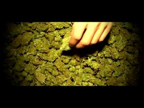 GRUBY9898’s Video 125016553428 DtUfCJzNlYI