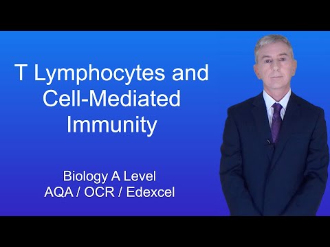 A Level Biology Revision "T Lymphocytes and Cell-Mediated Immunity"