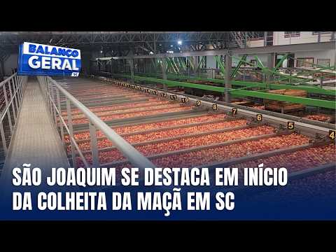 São Joaquim inicia colheita da maçã em Santa Catarina