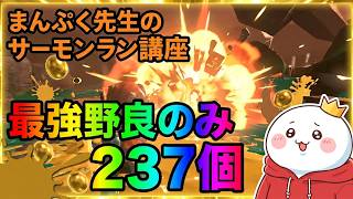 最強野良で昼のみ237個　#サーモンラン　#splatoon3