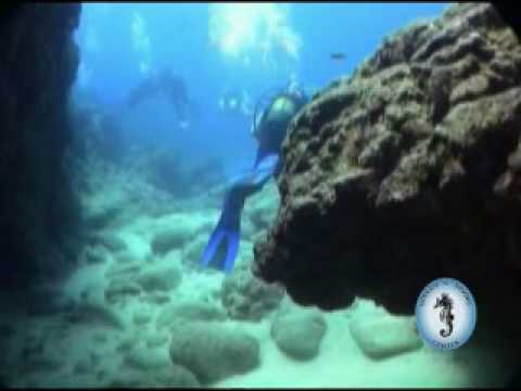 Tauchen mit Speedys Diving Center, Puerto del Carmen,Spanien