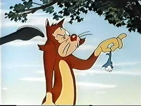City Kitty (1952)