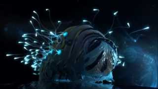 Björk - Storm - Music Video