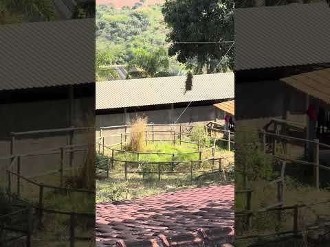 A vista mais linda de Minas Gerais! 🌄✨ | Paineiras da Serra