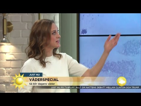 Då kommer den första snön - Nyhetsmorgon (TV4)