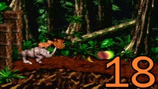 Let's Play Donkey Kong Country 2 102% Part 18 - The Lost World Continues