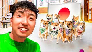 I Went to a SHIBA CAFE in JAPAN! *CUTE*
