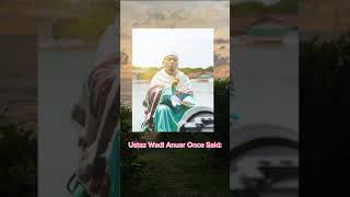 Download lagu ustaz wadi anuar mp3