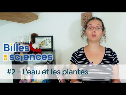 Science Marbles #2: Tania Louis - Water and Plants