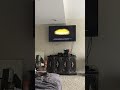 Closing To SpongeBob SquarePants SpongeBob Goes Prehistoric 2004 VHS