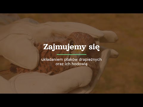 Gpsz sp. z o.o. - video