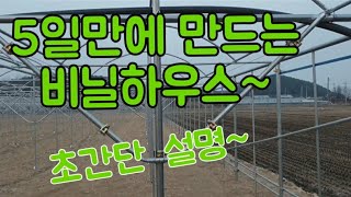 #비닐하우스만드는방법비가림하우스만드는방법  #샤인머스켓재배기술 #포도밭만들기