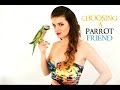 PARROT TALK #3: How To Choose Your First ...