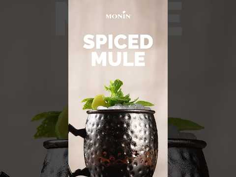 MONIN How-To: Spiced Mule