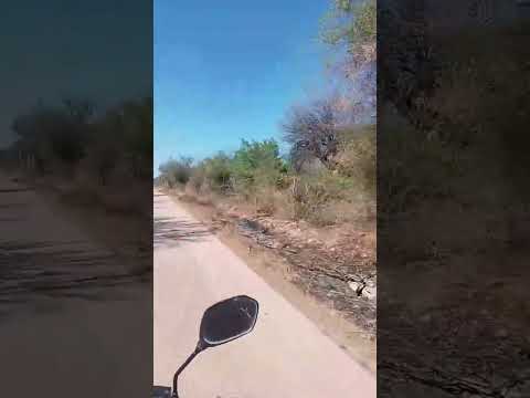 Trabajo misionero en el interior de Santiago del Estero. Misión Pueblo Nuevo, Arraga.