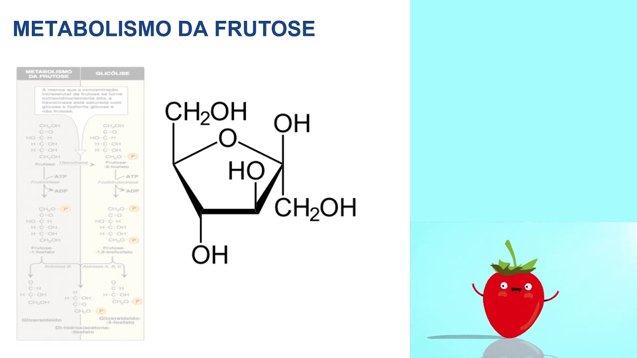 Metabolismo da Frutose e da Galactose gravada