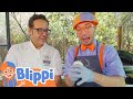 Blippi S Pizza Pie Adventure Blippi S Stories And Adventures For Kids Moonbug Kids