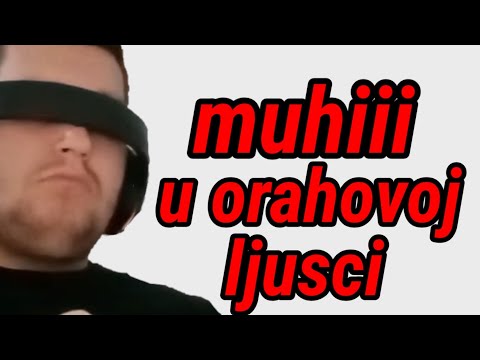 Muhi u orahovoj ljusci