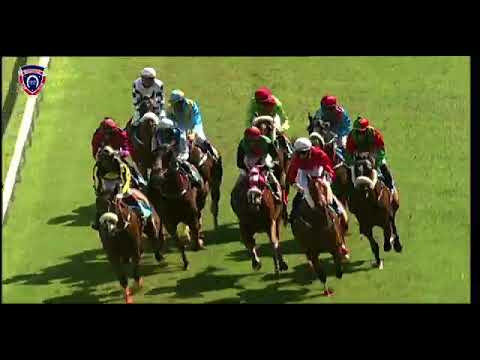 Hippisme -4e course (1e course):  The Prodigal Cup